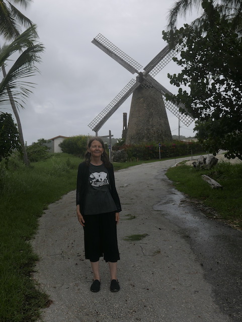 BBeastcoast-windmill-me