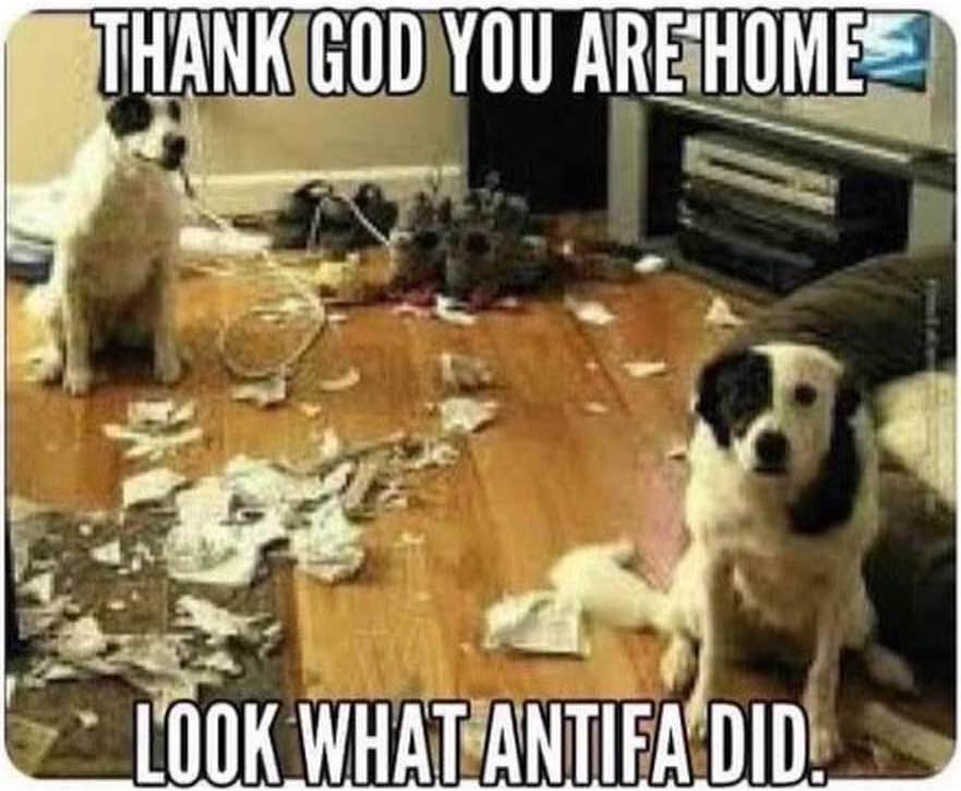 Antifa Dogs