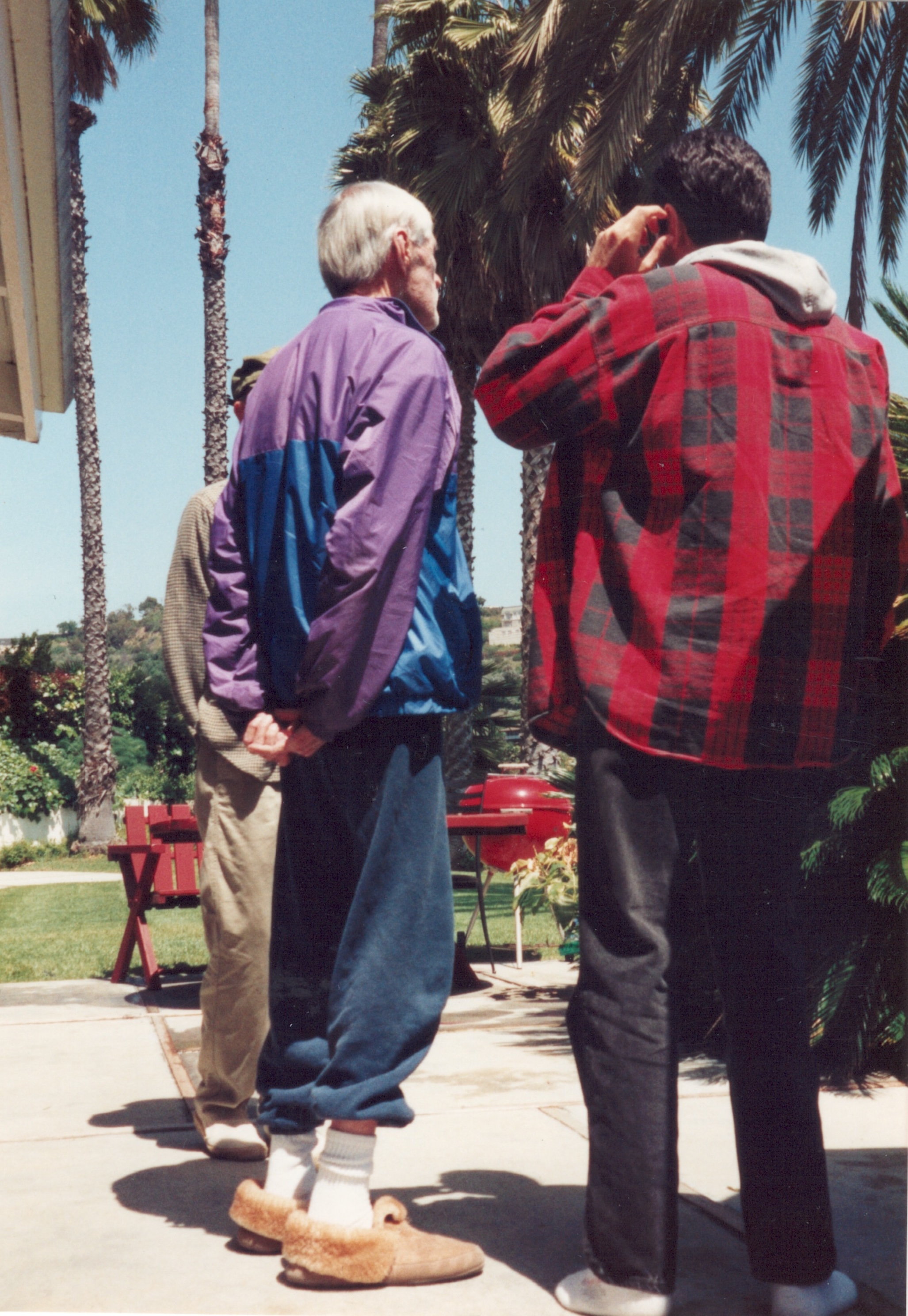 Higgins-Leary-palmtrees