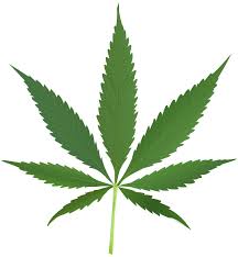 marijuanaleaf