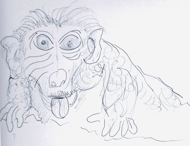 JanuaryMonkey6