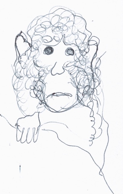 Januarymonkey1