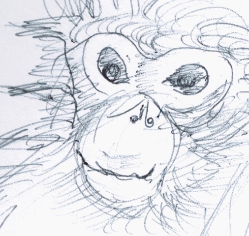 Januarymonkey4-1