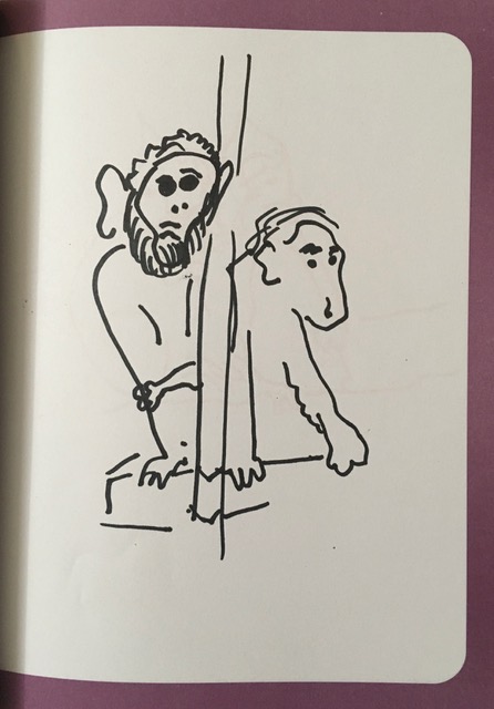 monkey5