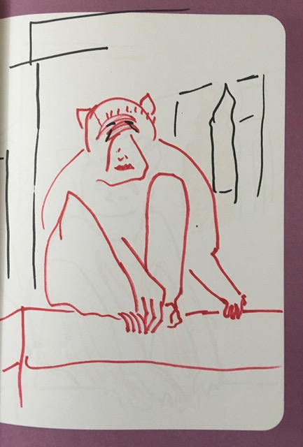 monkey7