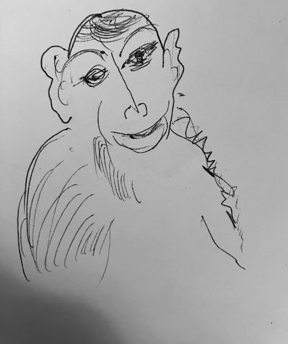 newmonkey2