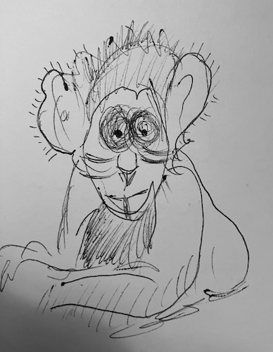 newmonkey3